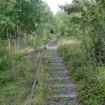 IMG_1456