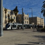 DSC_1003 (1)