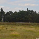 DSC_0780