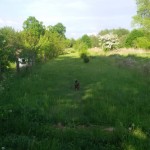 20150521_182159