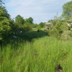 20150521_182234