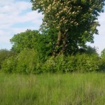 20150521_182311