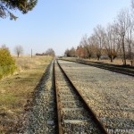 DSC00079